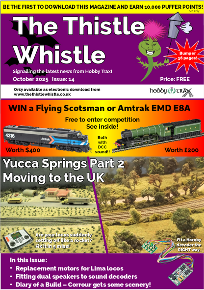 The Thistle Whistle - BACK ISSUES